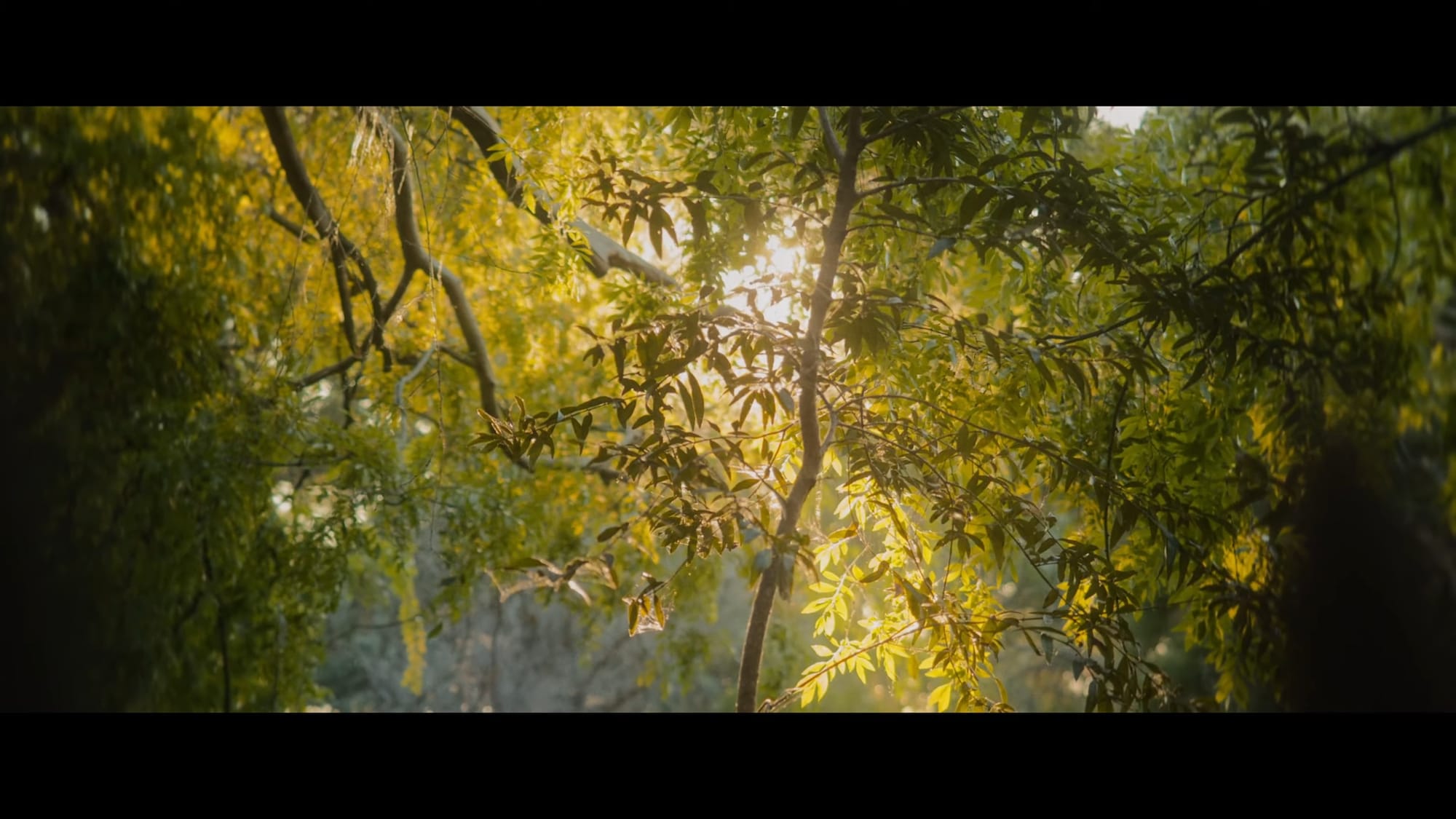 FLESH AND BLOOD still 8